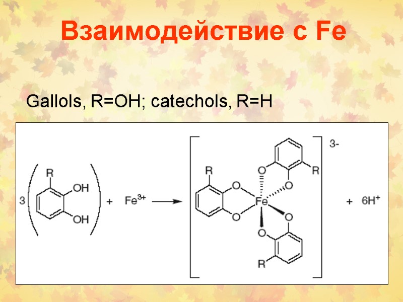 Взаимодействие с Fe Gallols, R=OH; catechols, R=H